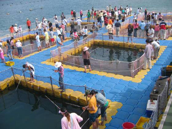 fish farm